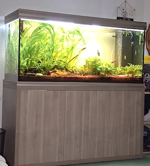 700 Liter Aquarium  Bild 4
