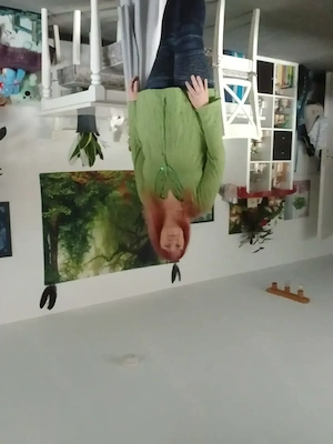Suche tringend eine wohnung