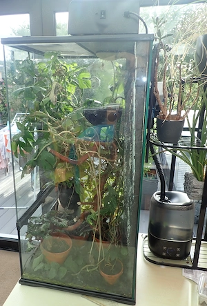Paludarium von ExoTerra 