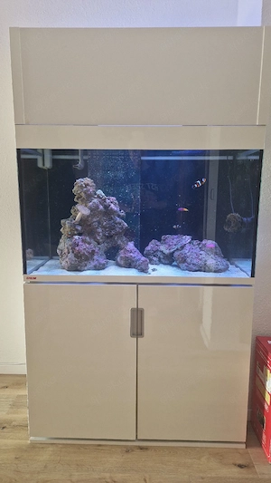 Eheim Incpiria 300 Meerwasseraquarium komplett mit Technik + Tiere