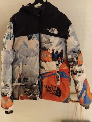 the north face jacke 