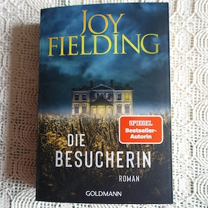 Buch, Roman - Die Besucherin