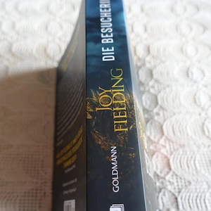Buch, Roman - Die Besucherin