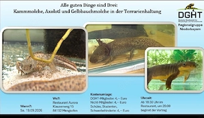 neuer Stammtisch Termin! 