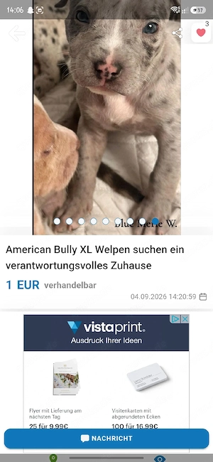    WICHTIGER Verbraucherhinweis zu Diesem Wurf   