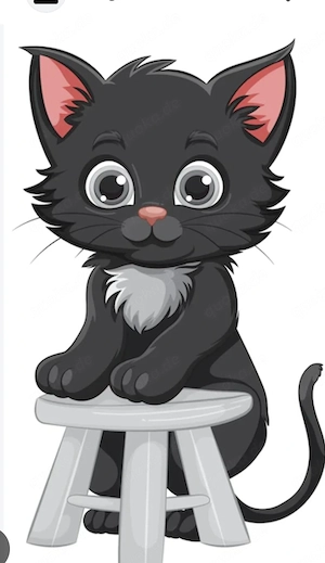 BKH-Kitten gesucht