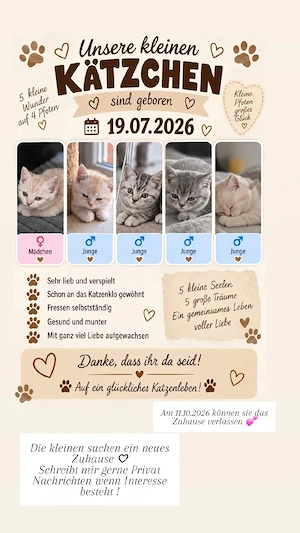 BKH Kitte 