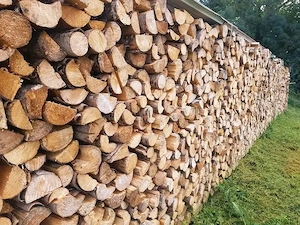 Brennholz 