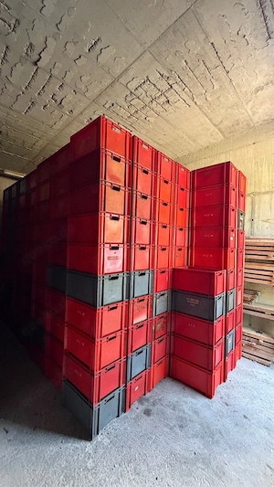 Stapelboxen Kunststoffkisten Lagerkisten   4 Größen   große Menge