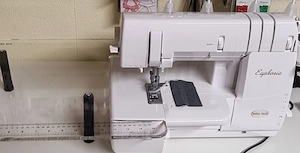 Babylock Euphoria Covermaschine