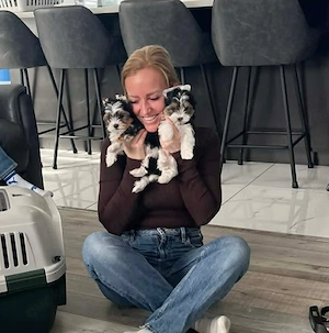 Biewer Terrier Welpen   Vielleicht wartet genau Ihr Herzenshund auf Sie