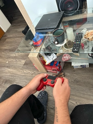 ps4 mit controller 
