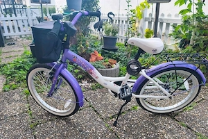 Kinderfahrrad 20 Zoll 