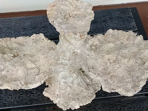 Verkaufe große Riffsäule 