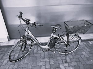 Raleigh Corby Citybike, Trekkingbike 621 WH 50 Nm