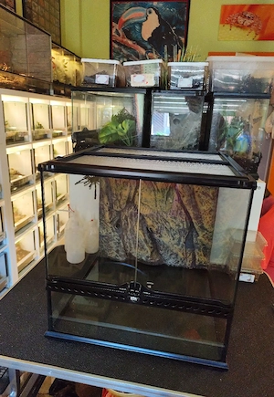 Exo Terra 45x45x45 neuwertig top Zustand 