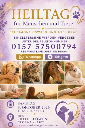 Energetische Heilung für Dein Tier