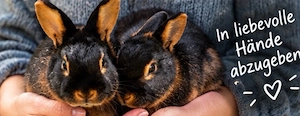 2 Lohkaninchen weichen