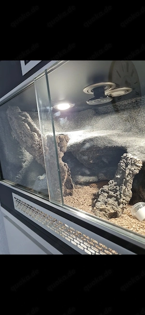 Terrarium für Geckos