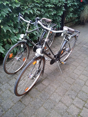 Damen- und Herrenrad