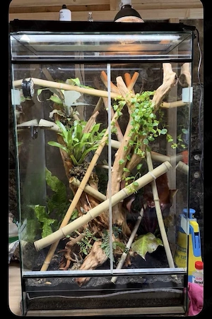 Tropen-Terrarium