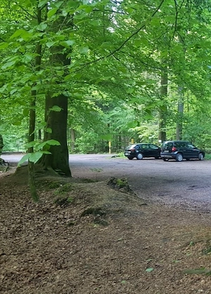 Welche Frau sucht den kick ? Auf dem Parkplatz. 