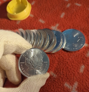 Silbermünzen Maple Leaf 1oz x 25 Stück