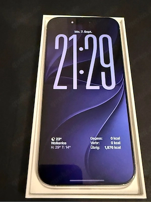 iPhone 16 Pro Max 256GB   Silber 
