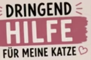 Brauche dringend hilfe für meinen Kater