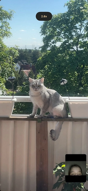 Liebe Luna sucht ein neues Zuhause   