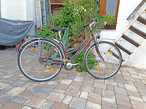 Damenfahrrad top in Schuss