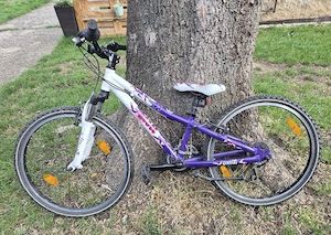 24 Zoll Scott Kinderfahrrad 