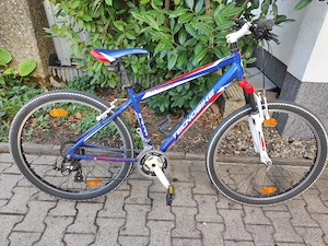 Zwei schönes Trekking Fahrrad für 85 