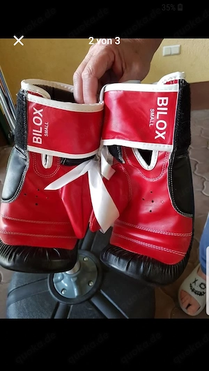 Boxhandschuhe 