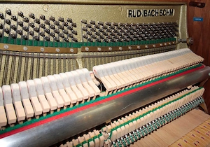 Klavier Ibach 112, Nr. 129399, Renner-Mechanik, 5 Jahre Garantie Bild 7