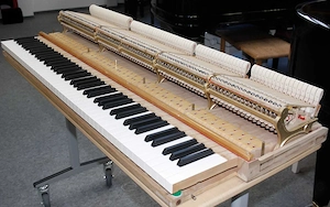 Flügel Steinway & Sons O-180, schwarz poliert, Nr. 378081, 5 Jahre Garantie Bild 9