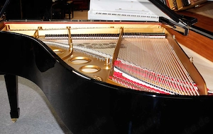 Flügel Steinway & Sons O-180, schwarz poliert, Nr. 378081, 5 Jahre Garantie Bild 8