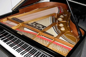 Flügel Steinway & Sons O-180, schwarz poliert, Nr. 378081, 5 Jahre Garantie Bild 6