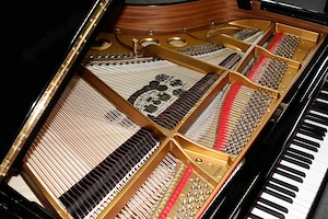 Flügel Steinway & Sons O-180, schwarz poliert, Nr. 378081, 5 Jahre Garantie Bild 7