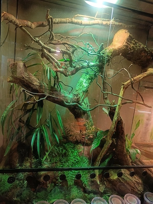 Terrarium aus Ausstellung 