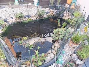 Gartenteich PVC zu verkaufen 