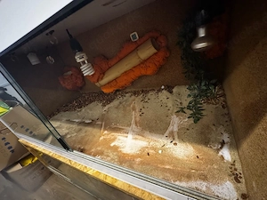 Terrarium Weiß von Terra Plus