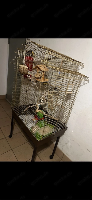 XXL, Vogelkäfig