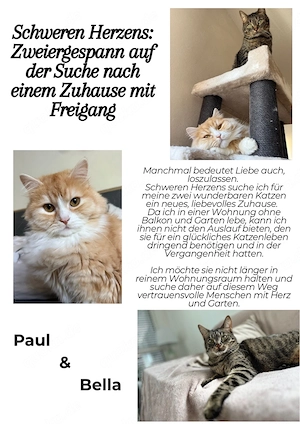 Bella und Paul suchen ein für immer Zuhause