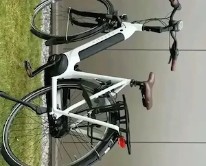 Gazelle Elektrofahrrad