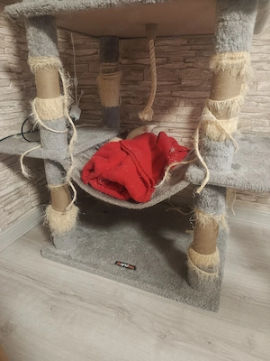 Kratzbaum zu verschenken 