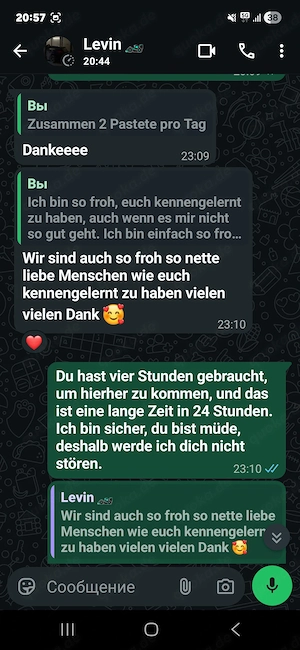  2 Reinrassige Perserkitten in königlichem Schneeweiß (Magdeburg) Bild 8
