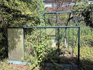 Gewächshaus ca. 2,50   1,90 m -  neue Platten nötig