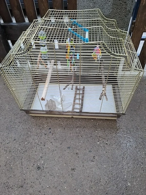 Vogelkäfig mit Zubehör zu Verkaufen