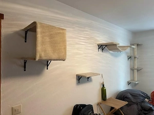 Large cat climbing wall with sisal, hammock & platforms